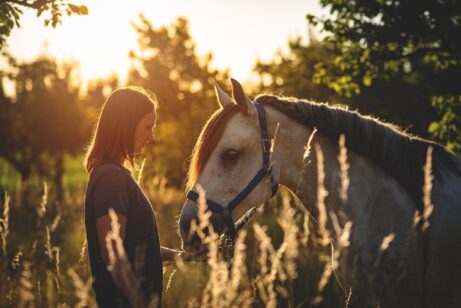 meditation with horses